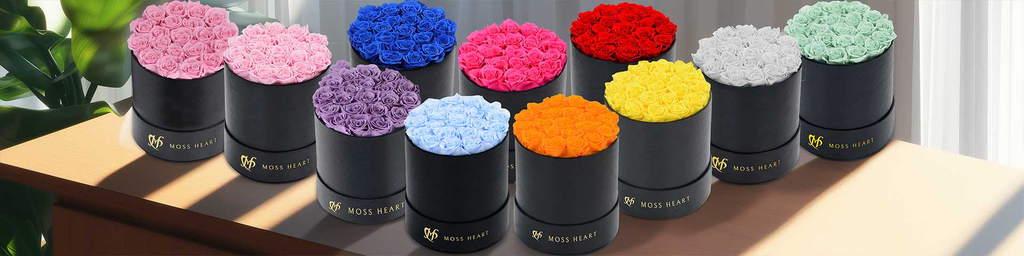 20 Roses