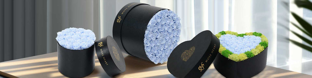 Light Blue Roses