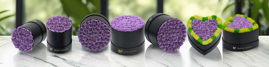 Purple Roses