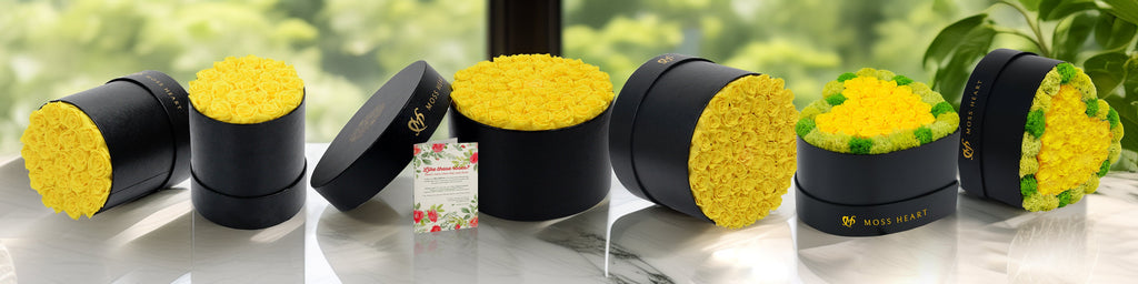 Yellow Roses