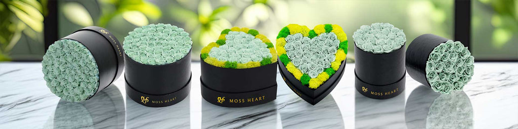 Teal Roses