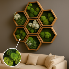 Moss Heart Light Toned Hexagon Art - Handcrafted Preserved Moss Sets, 1-12 Frames