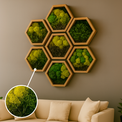 Moss Heart Dark Toned Hexagon Art - Handcrafted Preserved Moss Sets, 1-12 Frames