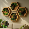 Moss Heart Wood Heavy Hexagon Art - Handcrafted Preserved Moss Sets, 1-12 Frames