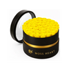 50 Yellow Preserved Forever Roses in Round Box