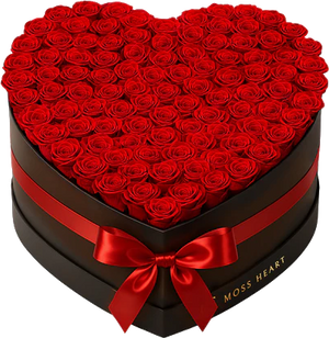 100 Preserved Red Roses