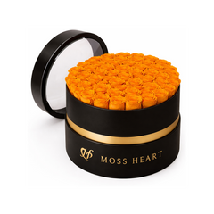 50 Orange Preserved Forever Roses in Round Box