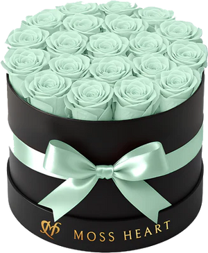 Teal Roses