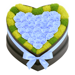 30 Light Blue Preserved Forever Roses in Heart Box
