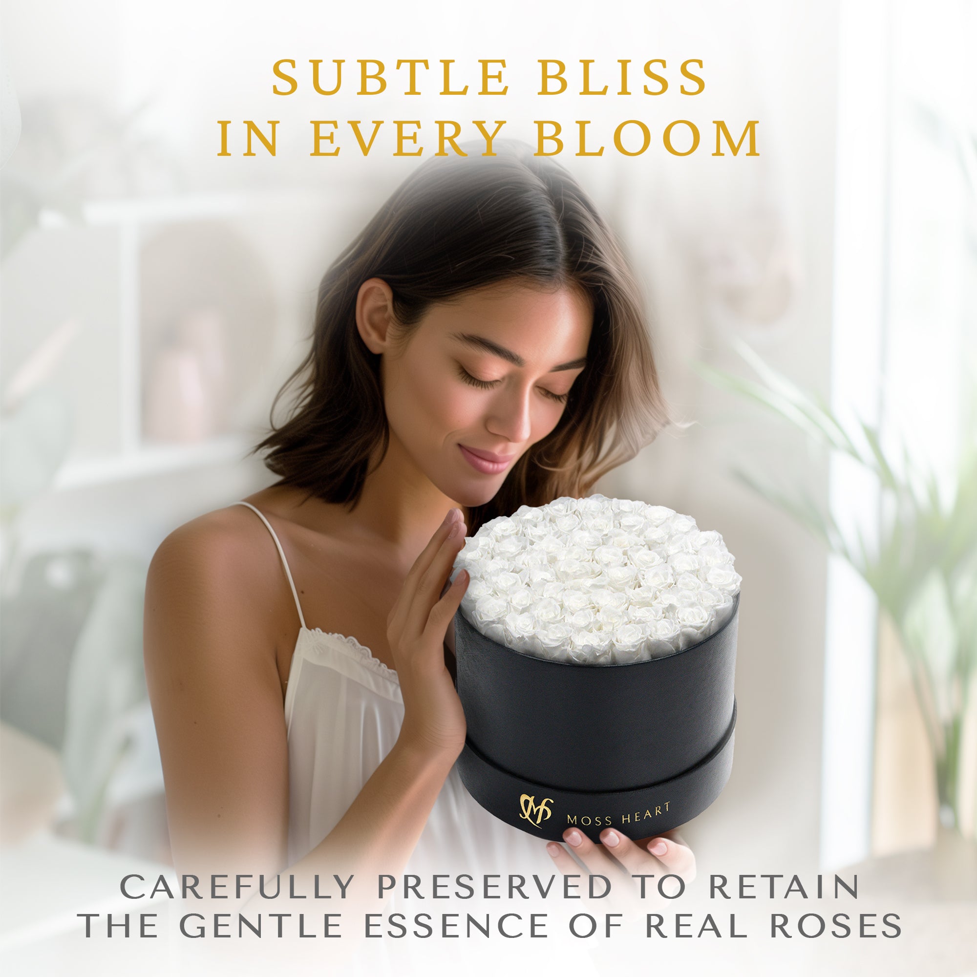 50 White Preserved Forever Roses in Round Box – Moss Heart