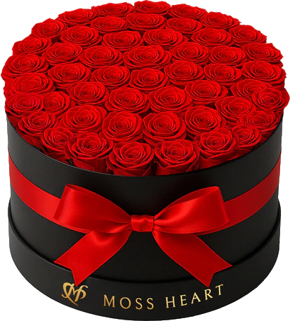 50 Preserved  Roses