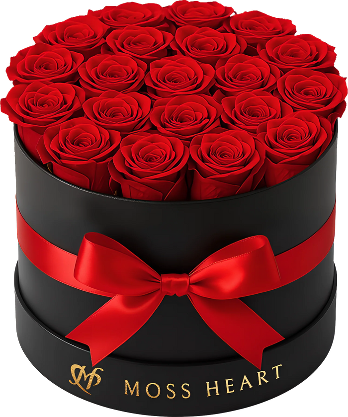 20 Preserved  Roses