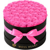 50 Hot Pink Preserved Forever Roses in Round Box