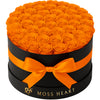 50 Orange Preserved Forever Roses in Round Box