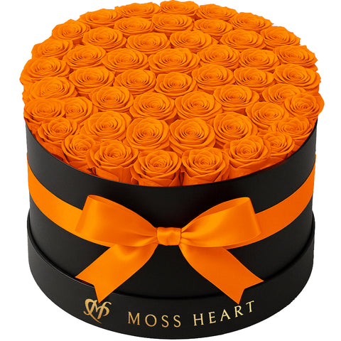 50 Orange Preserved Forever Roses in Round Box