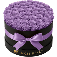 50 Purple Preserved Forever Roses in Round Box