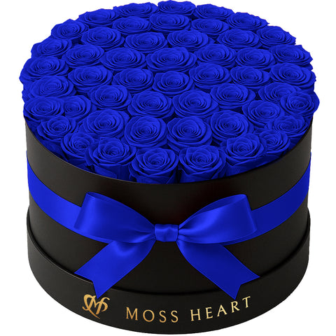 50 Royal Blue Preserved Forever Roses in Round Box