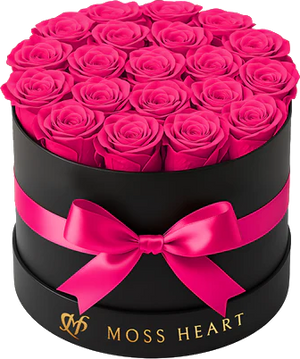 Hot Pink Roses