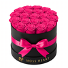 20 Hot Pink Preserved Forever Roses in Round Box