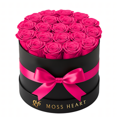 20 Hot Pink Preserved Forever Roses in Round Box