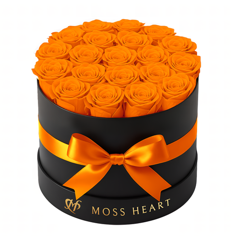 20 Orange Preserved Forever Roses in Round Box
